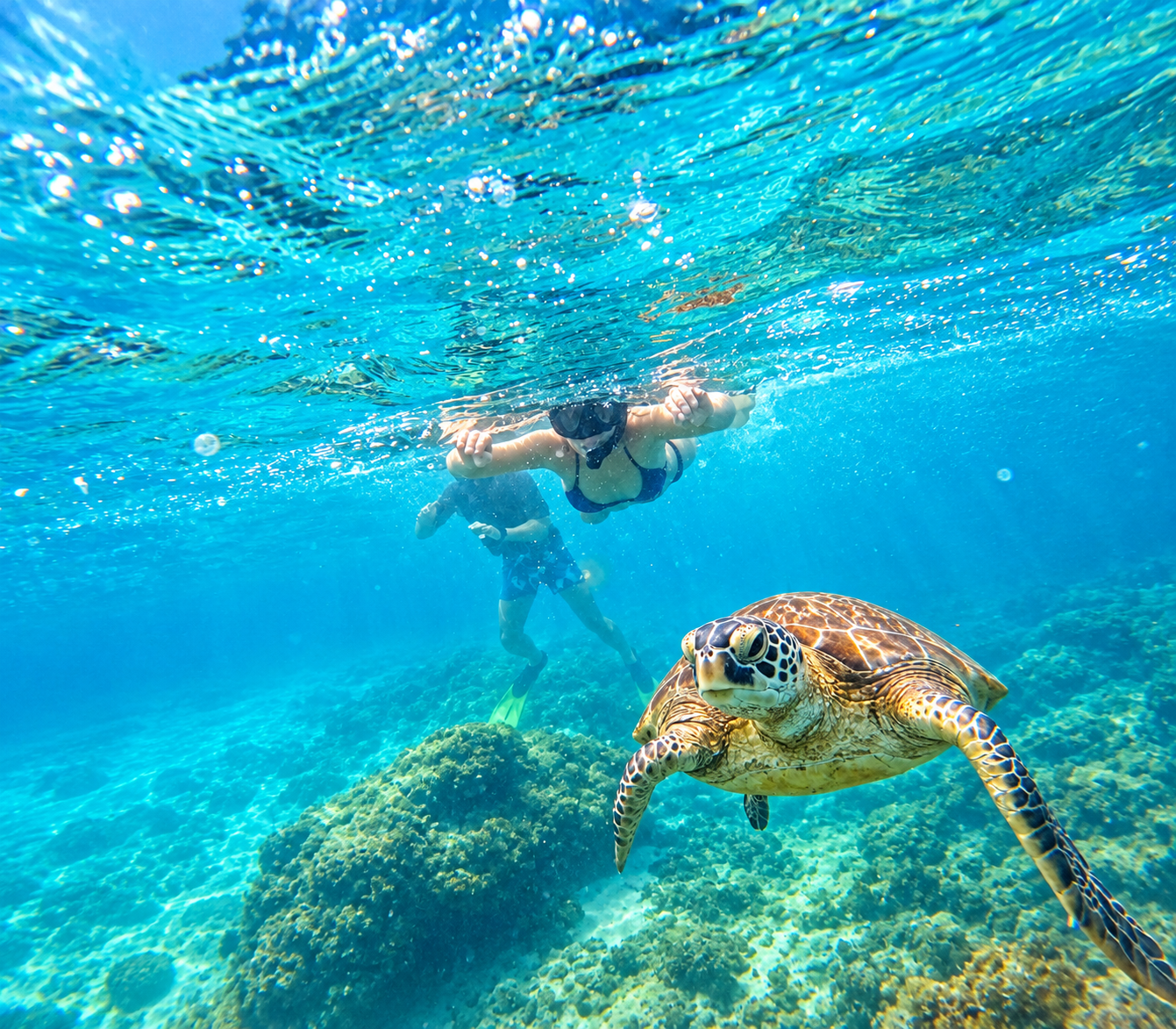 Snorkeling in clear water